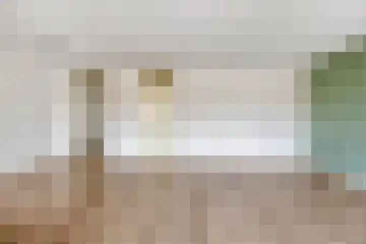 Looierij 53 Meppel thumbnail 7
