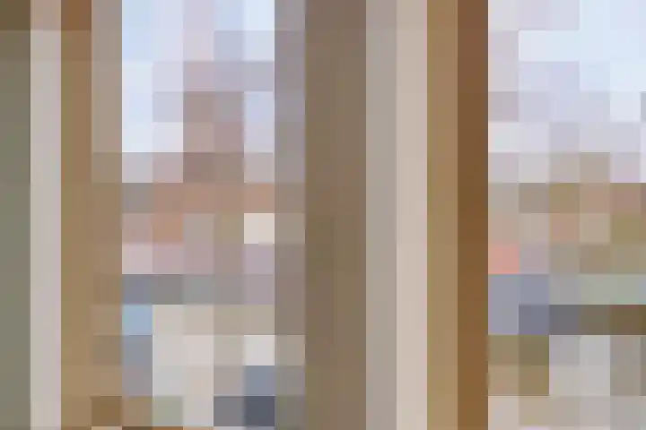 Looierij 53 Meppel thumbnail 9