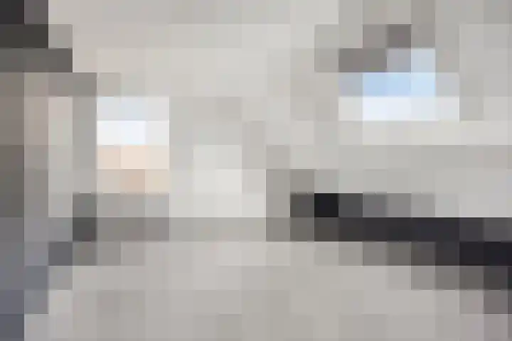 Looierij 57 Meppel thumbnail 15