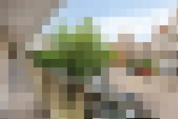 Looierij 57 Meppel thumbnail 23