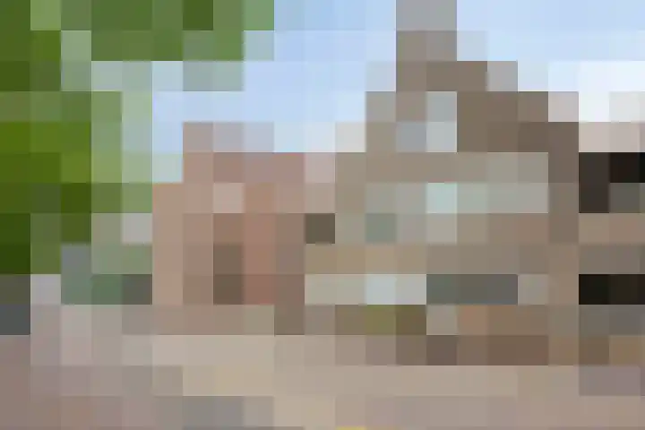 Looierij 57 Meppel thumbnail 27