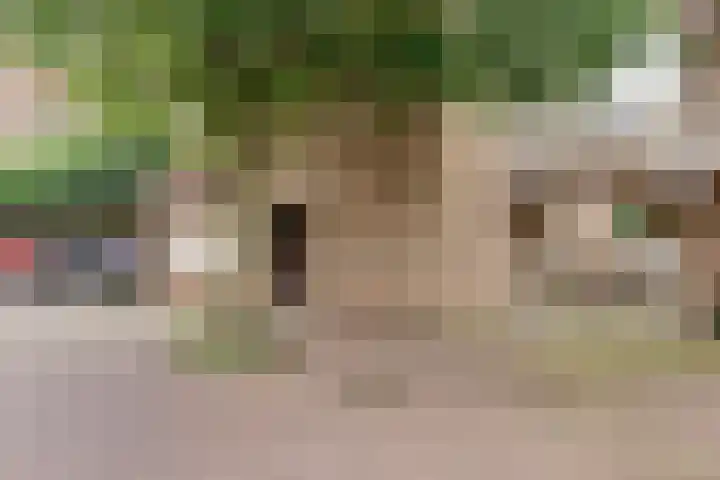 Looierij 57 Meppel thumbnail 30