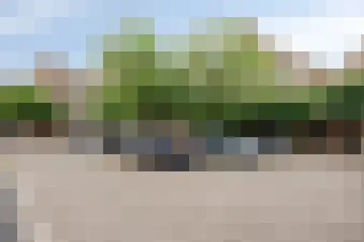 Looierij 57 Meppel thumbnail 31