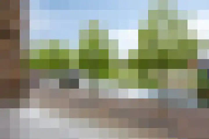 Looierij 57 Meppel thumbnail 4