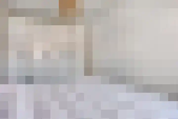 Looierij 8 Oisterwijk thumbnail 12