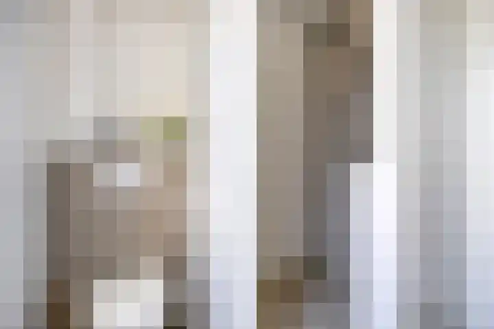 Looierij 8 Oisterwijk thumbnail 15