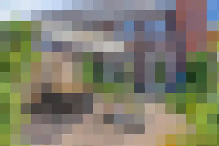 Looierij 8 Oisterwijk thumbnail 19