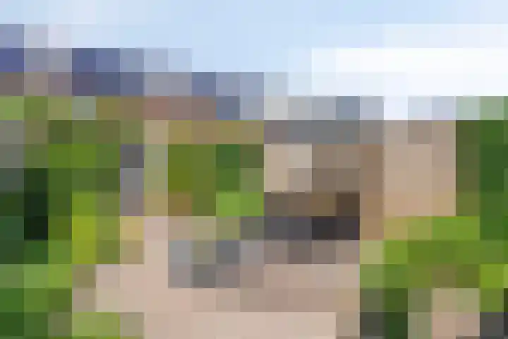 Looierij 8 Oisterwijk thumbnail 20