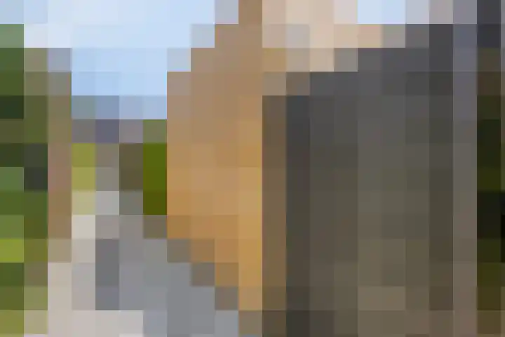 Looierij 8 Oisterwijk thumbnail 22