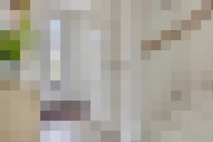 Looierij 8 Oisterwijk thumbnail 8