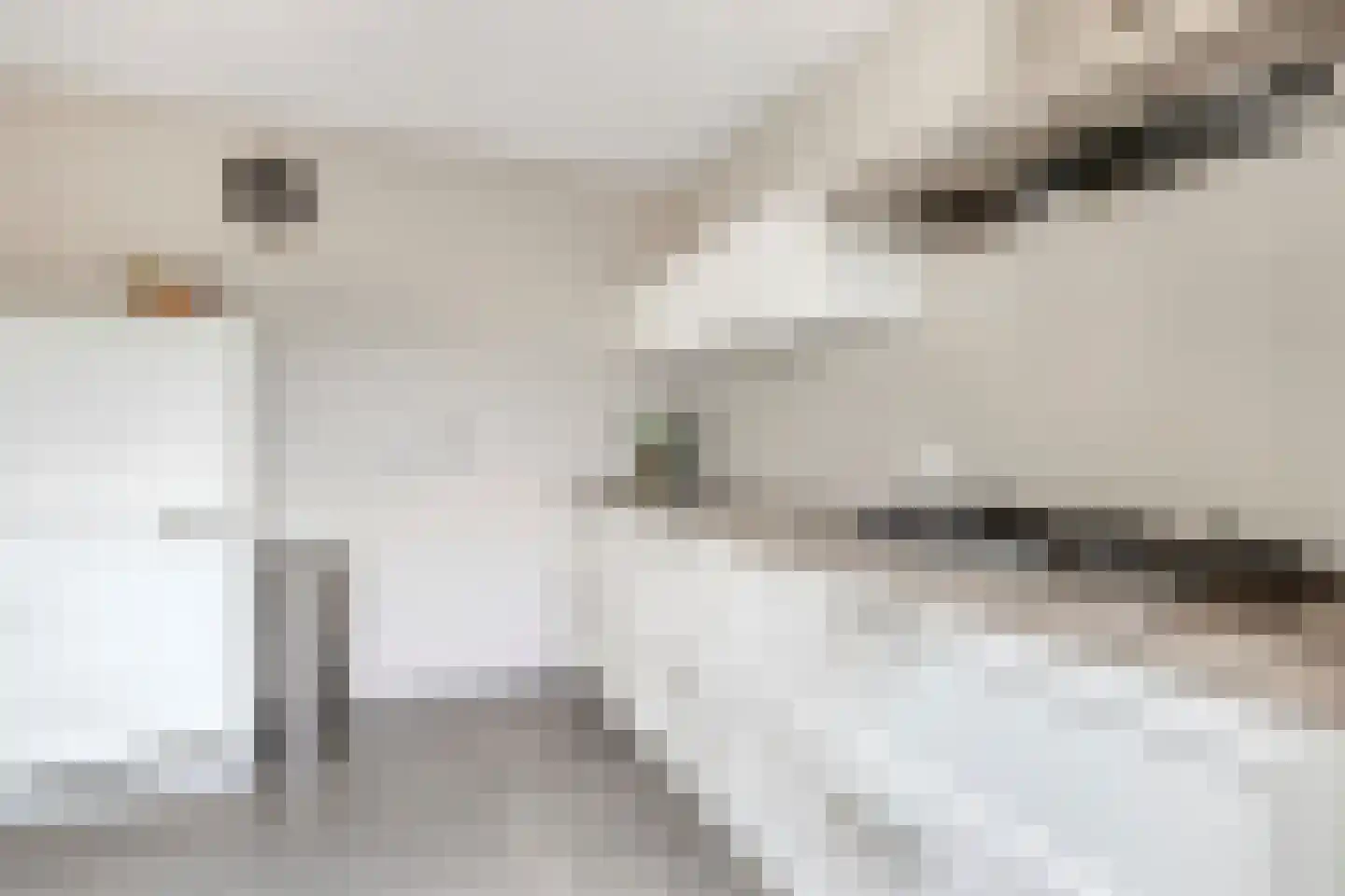 Looierijstraat 11 Budel thumbnail 10