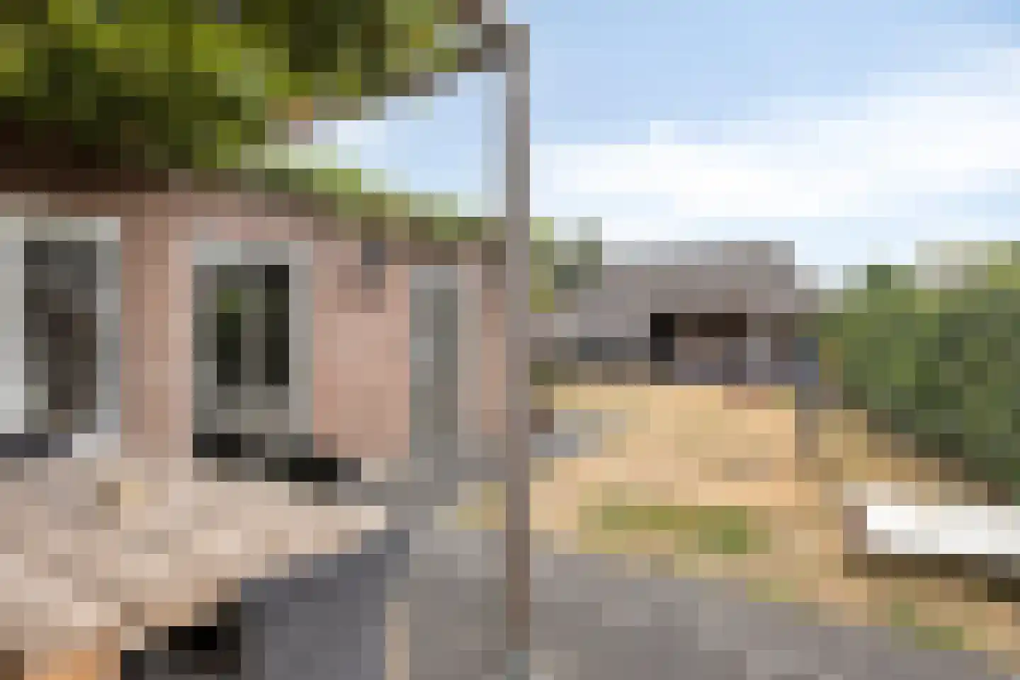 Looierijstraat 11 Budel thumbnail 26