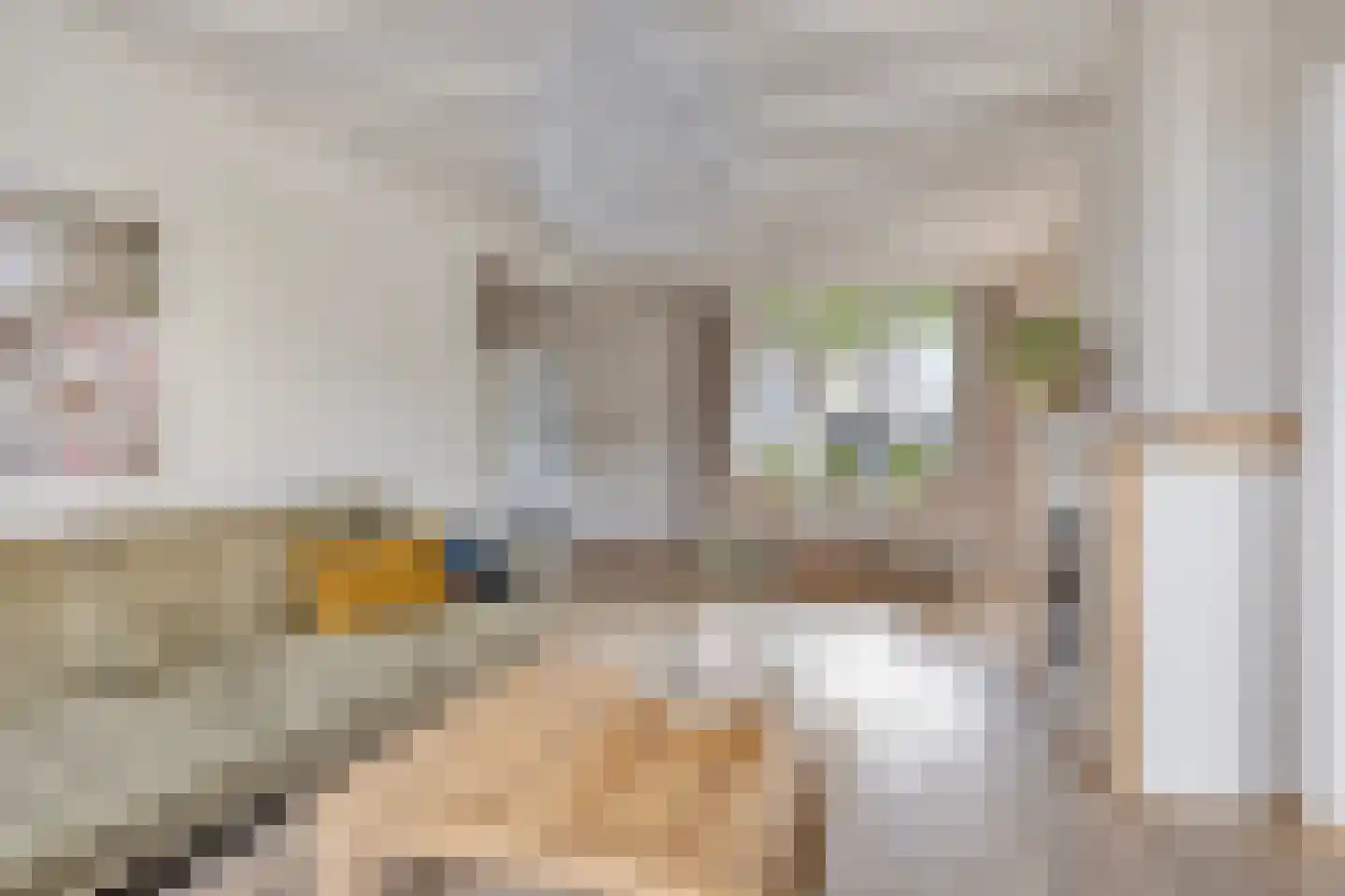 Looierijstraat 11 Budel thumbnail 4