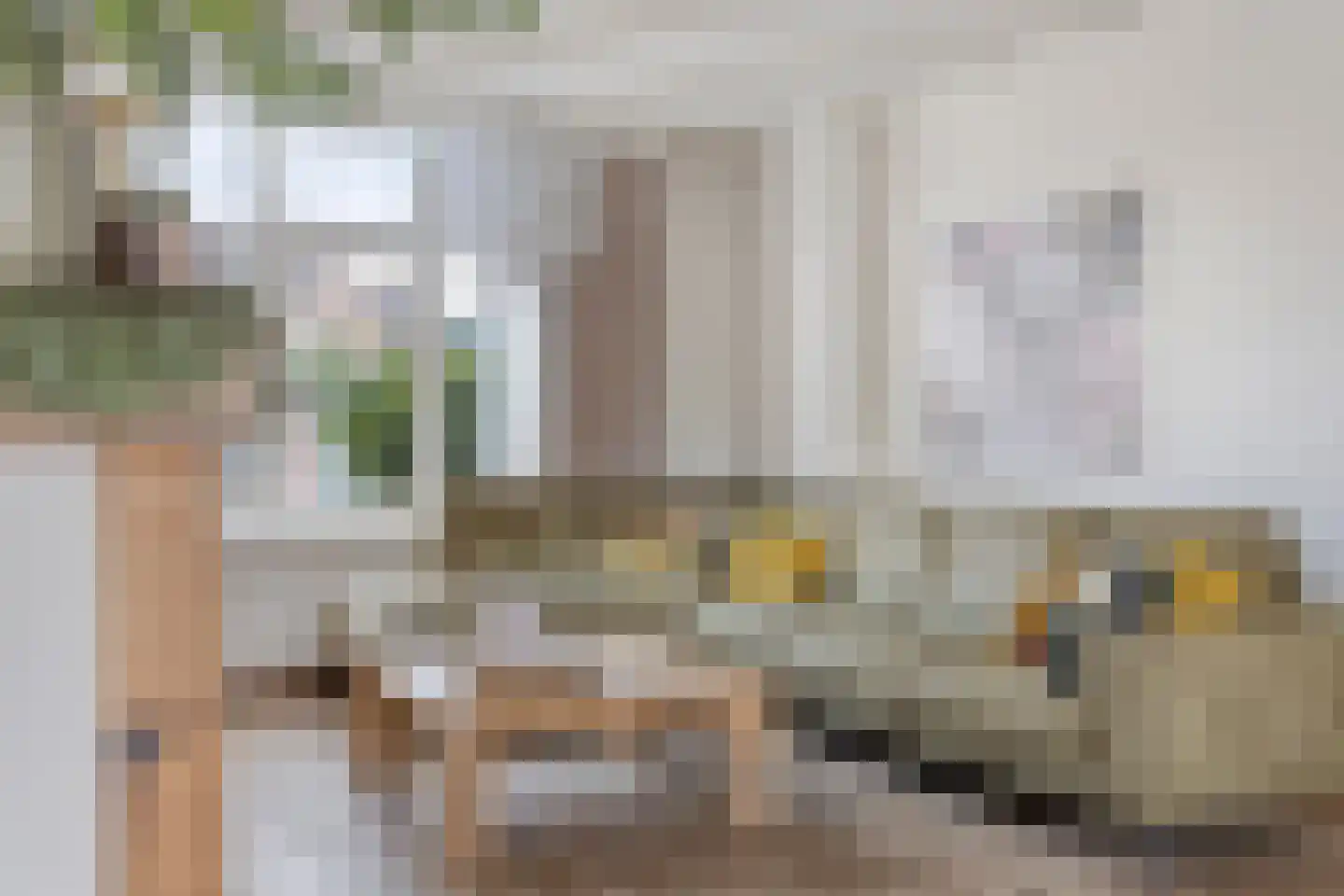 Looierijstraat 11 Budel thumbnail 5