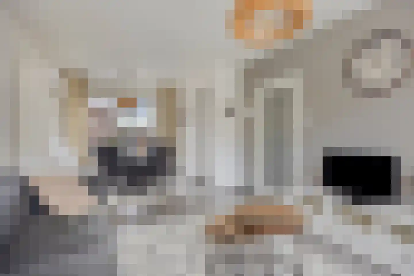 Looierijstraat 20 Krimpen aan de Lek thumbnail 10