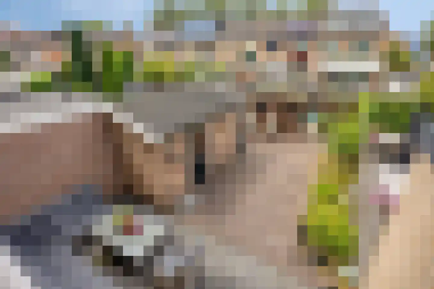 Looierijstraat 20 Krimpen aan de Lek thumbnail 37