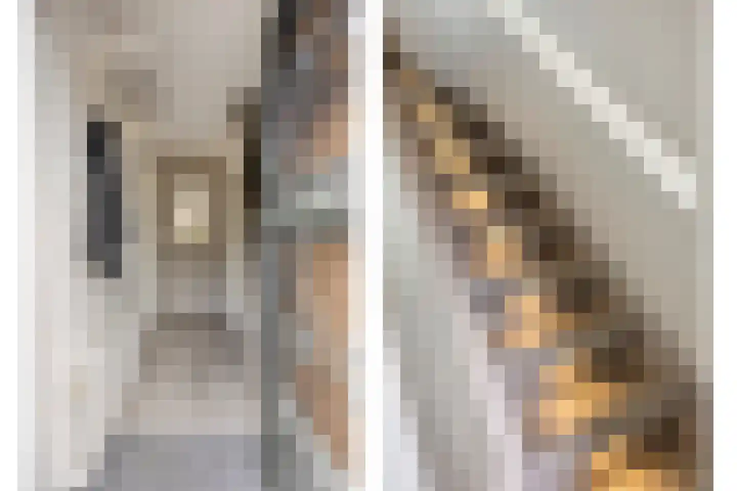 Looierijstraat 20 Krimpen aan de Lek thumbnail 6