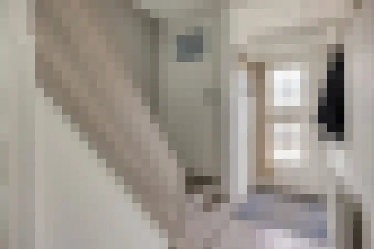 Looierijstraat 20 Krimpen aan de Lek thumbnail 8