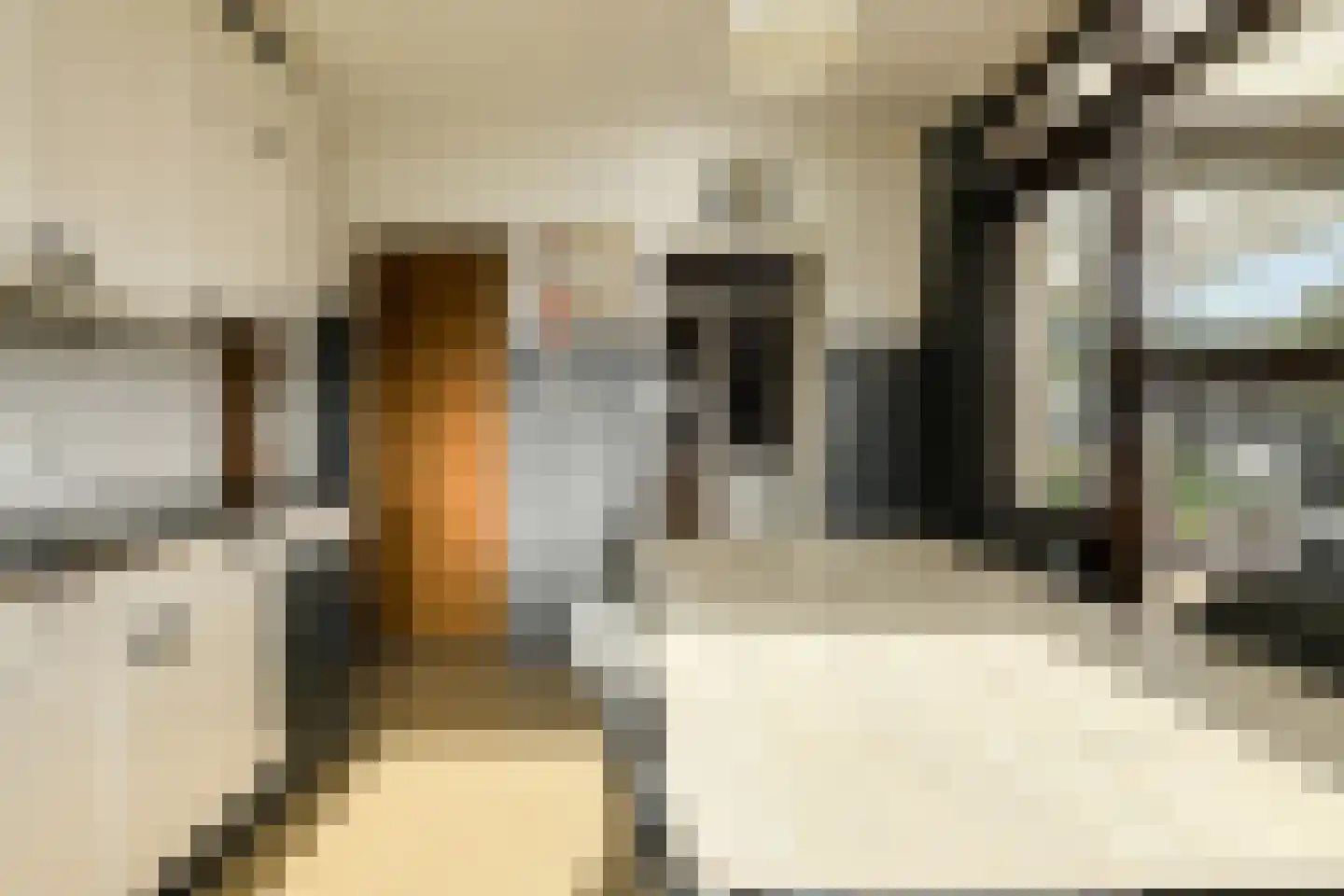 Looierijstraat 49 Oosteind thumbnail 14
