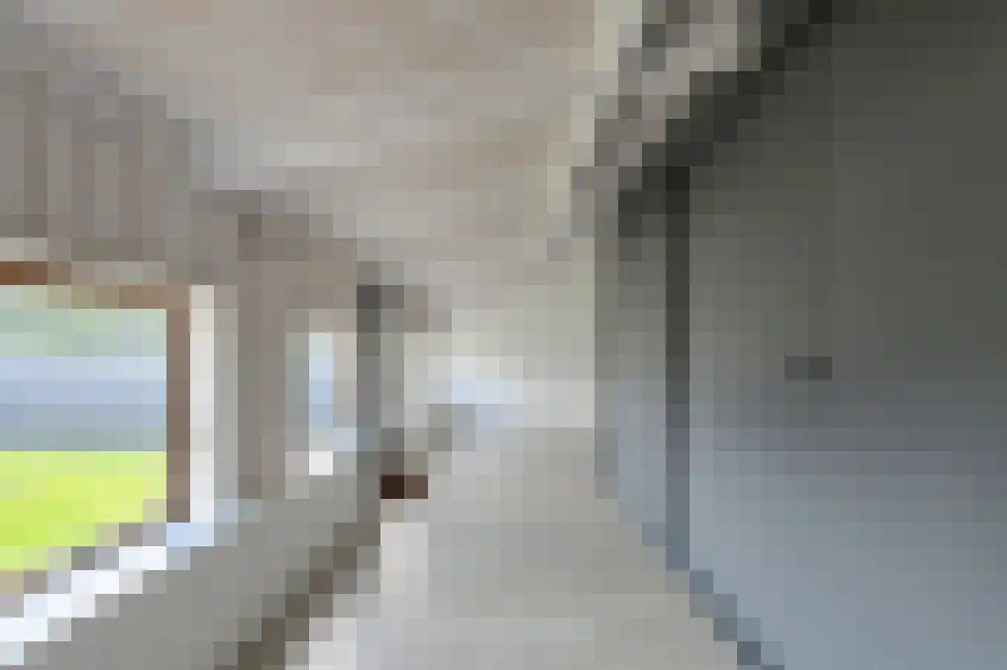 Looierijstraat 49 Oosteind thumbnail 16