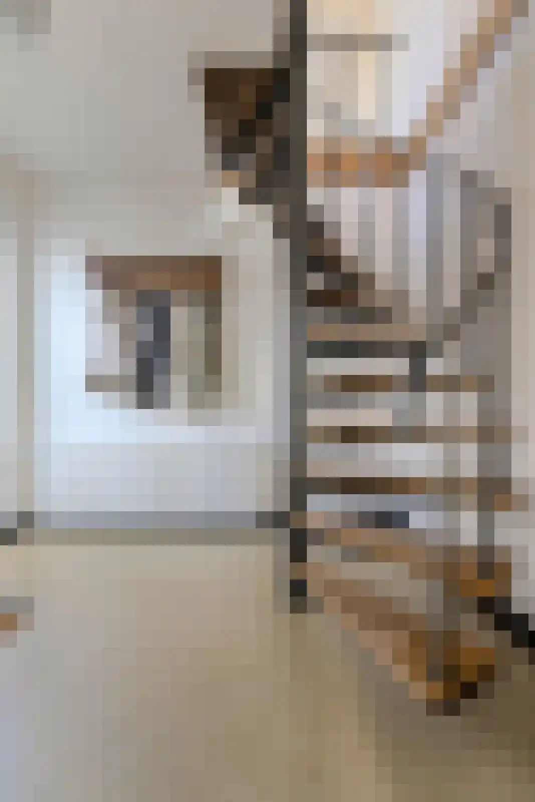 Looierijstraat 49 Oosteind thumbnail 18