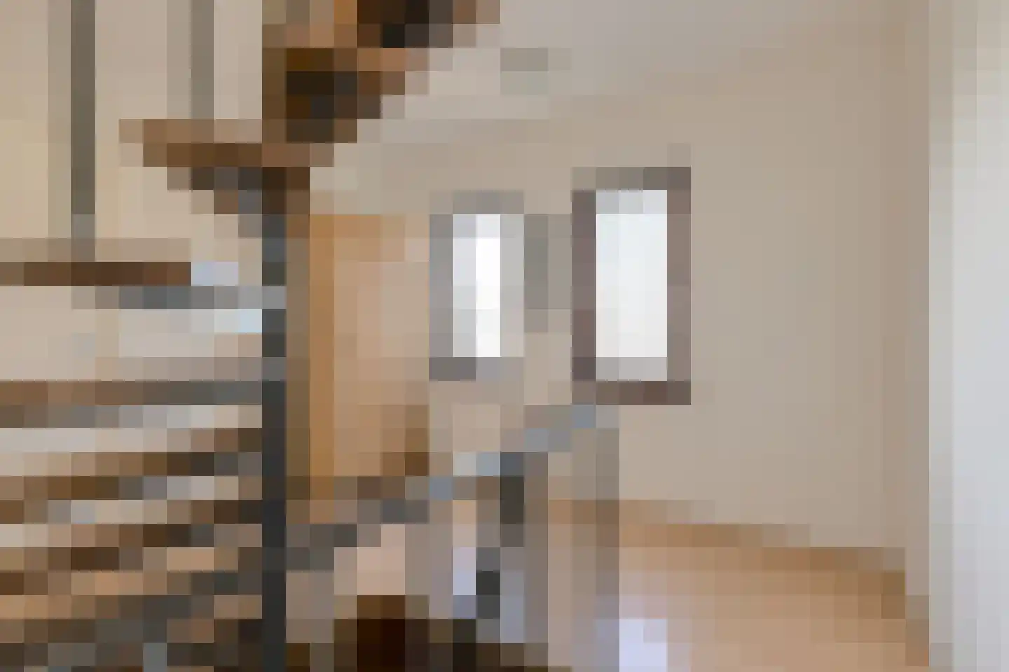 Looierijstraat 49 Oosteind thumbnail 20