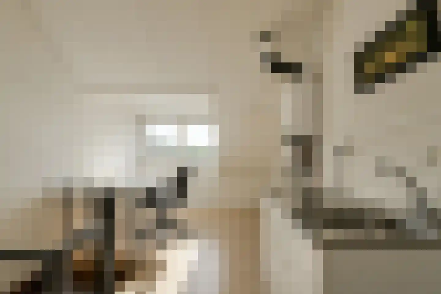 Looierijstraat 49 Oosteind thumbnail 28