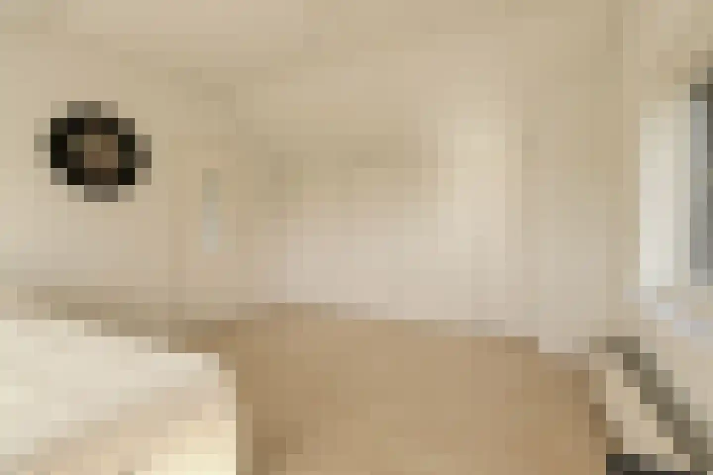 Looierijstraat 49 Oosteind thumbnail 32