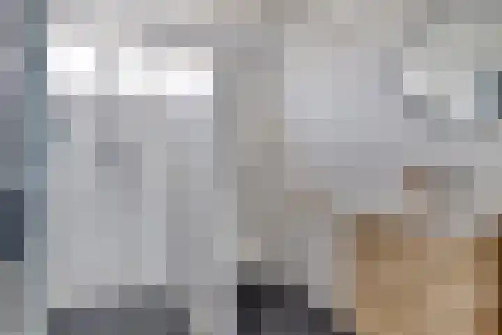 Looierijstraat 9 Krimpen aan de Lek thumbnail 22