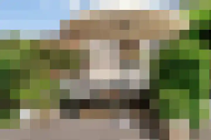 Looierijstraat 9 Krimpen aan de Lek thumbnail 28