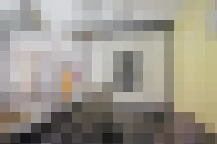 Looiersdreef 665 Apeldoorn thumbnail 16