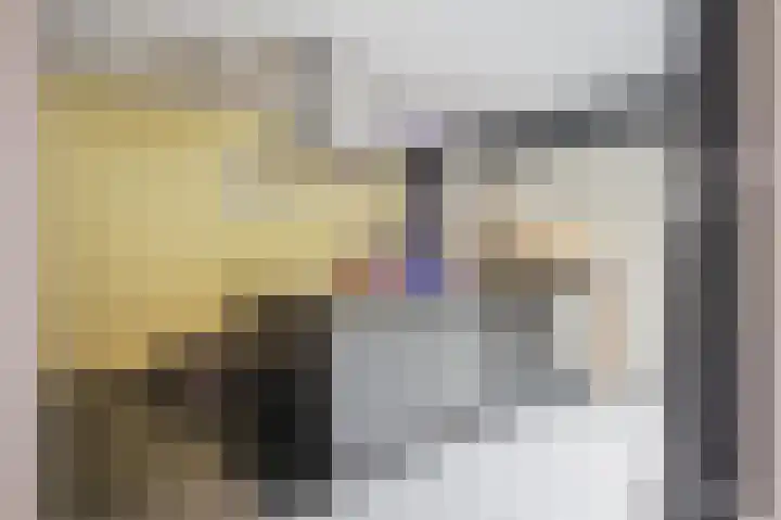 Looiersdreef 665 Apeldoorn thumbnail 17