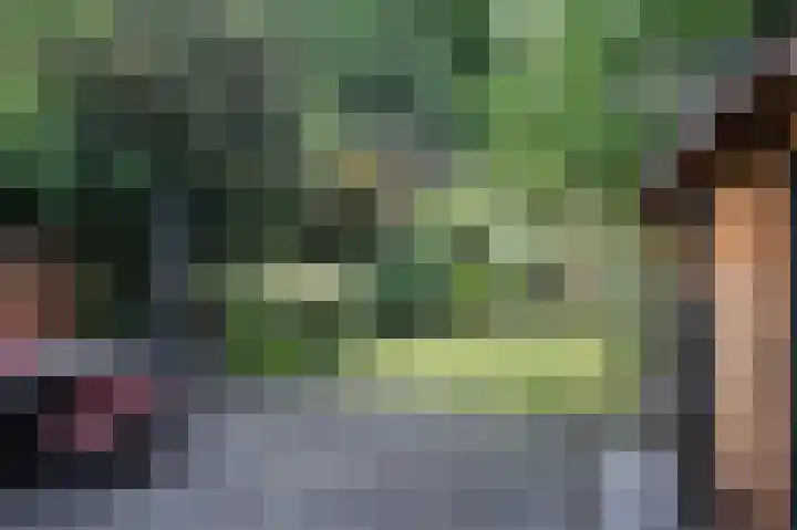 Looiersdreef 665 Apeldoorn thumbnail 38