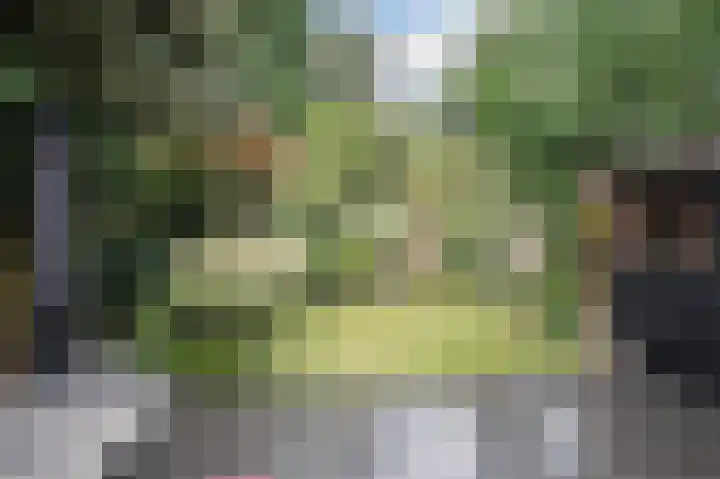 Looiersdreef 665 Apeldoorn thumbnail 40