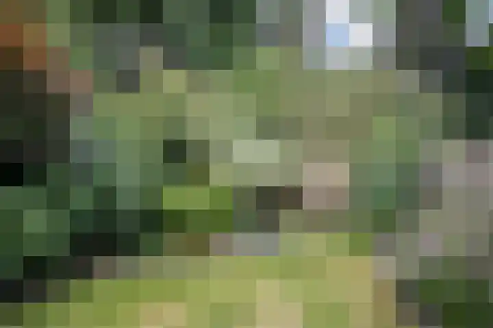 Looiersdreef 665 Apeldoorn thumbnail 41