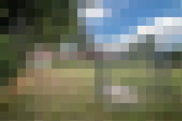 Looiersdreef 665 Apeldoorn thumbnail 42