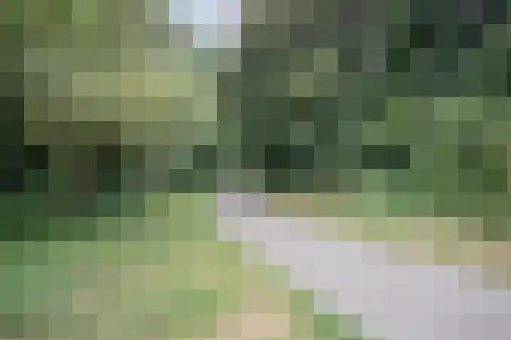 Looiersdreef 665 Apeldoorn thumbnail 43