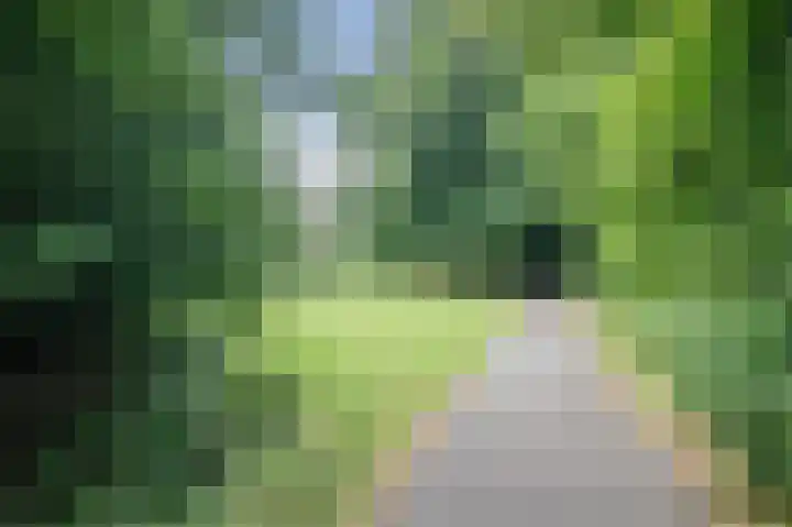 Looiersdreef 665 Apeldoorn thumbnail 44