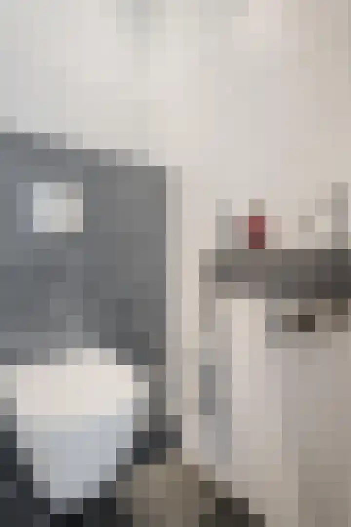 Looiersdreef 665 Apeldoorn thumbnail 8