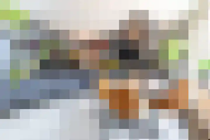 Looiersdreef 666 Apeldoorn thumbnail 10