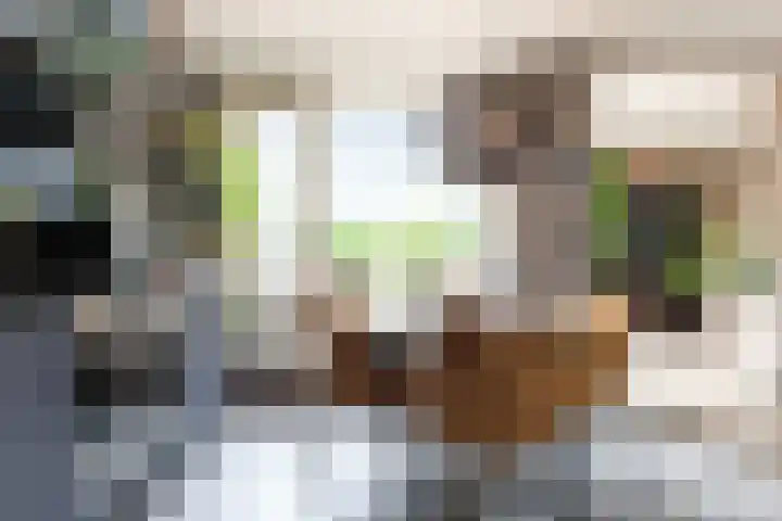 Looiersdreef 666 Apeldoorn thumbnail 12