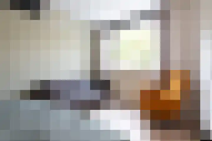 Looiersdreef 666 Apeldoorn thumbnail 19