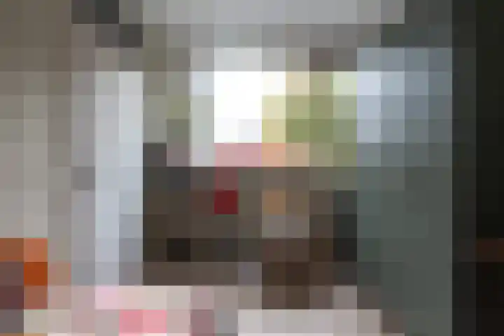 Looiersdreef 666 Apeldoorn thumbnail 21
