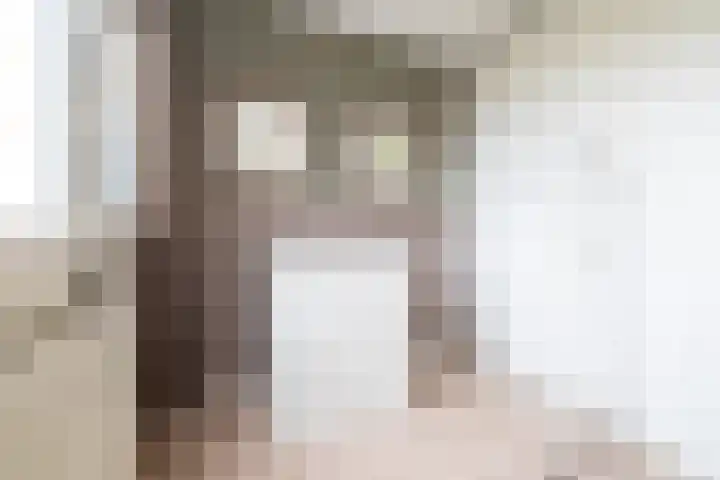 Looiersdreef 666 Apeldoorn thumbnail 22