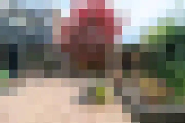 Looiersdreef 666 Apeldoorn thumbnail 23