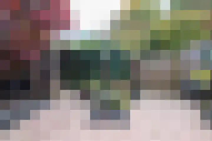 Looiersdreef 666 Apeldoorn thumbnail 24