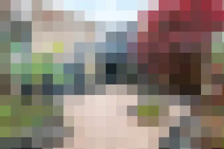 Looiersdreef 666 Apeldoorn foto 3