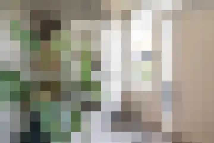 Looiersdreef 666 Apeldoorn thumbnail 4