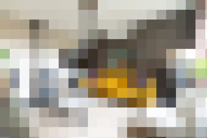 Looiersdreef 666 Apeldoorn thumbnail 5