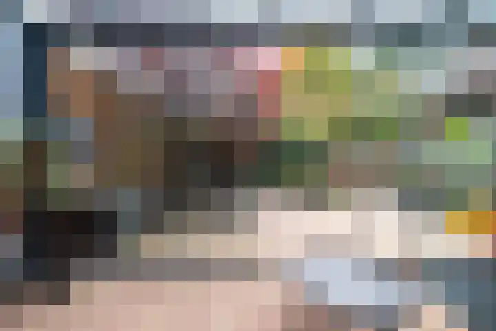 Looiersdreef 666 Apeldoorn thumbnail 9
